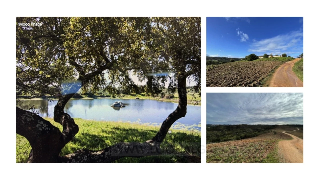 Quinta para Venda em Aljezur Foto 9