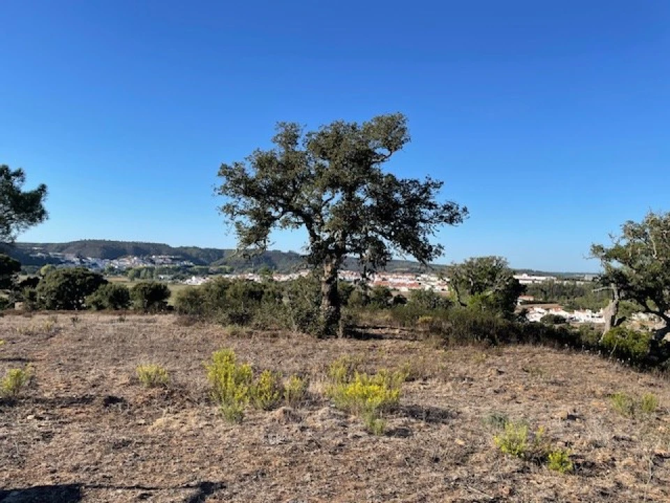 Quinta para Venda em Aljezur Foto 11