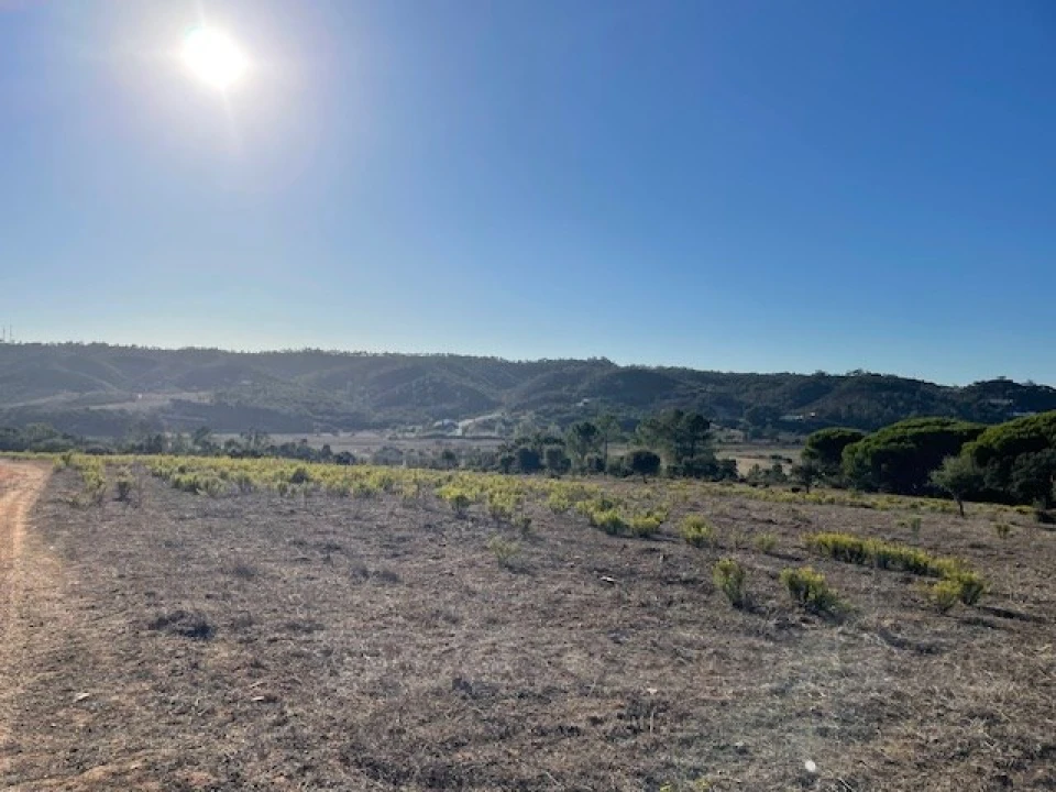 Quinta para Venda em Aljezur Foto 34