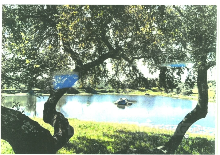 Quinta para Venda em Aljezur Foto 4