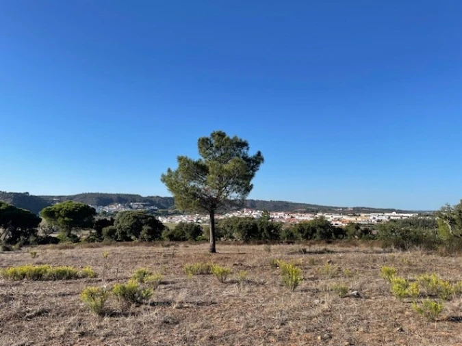 Quinta para Venda em Aljezur Foto 2