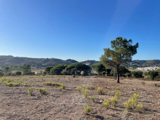 Quinta para Venda em Aljezur Foto 32