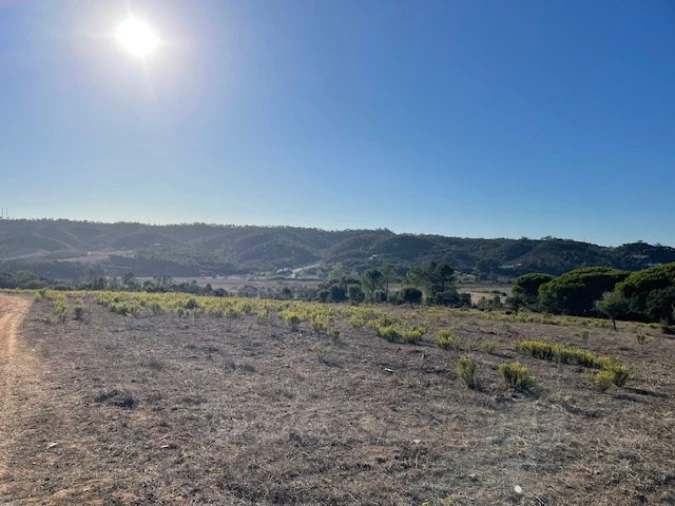 Quinta para Venda em Aljezur Foto 34