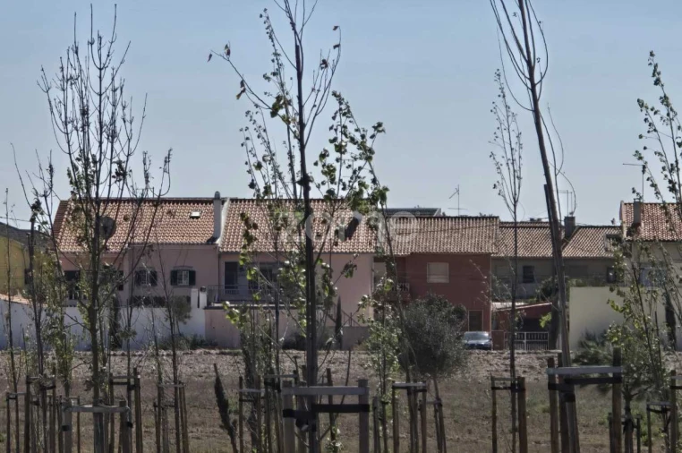 Terreno para Venda em Carcavelos e Parede Foto 13