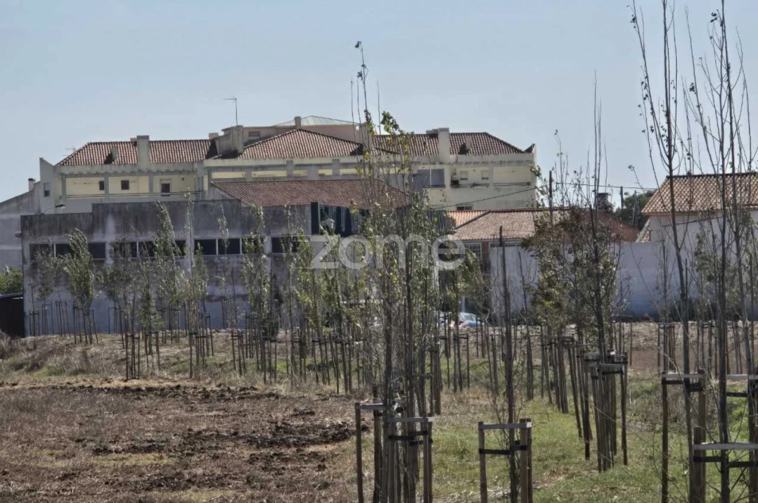 Terreno para Venda em Carcavelos e Parede Foto 14