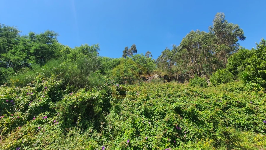 Terreno para Venda em Aver-O-Mar, Amorim e Terroso Foto 9