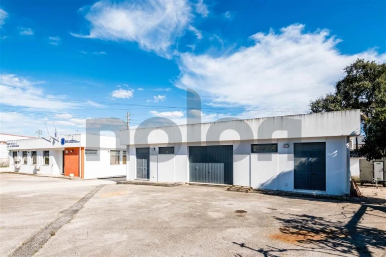 Armazém para Venda em Cartaxo e Vale da Pinta Foto 14