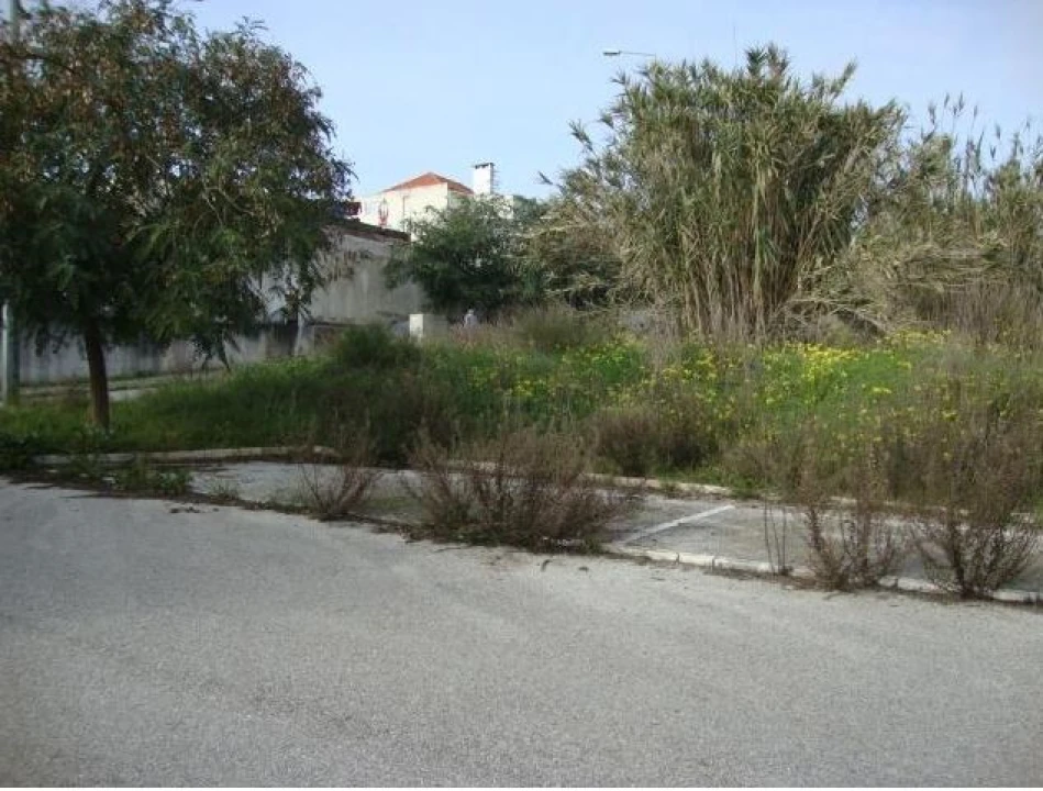 Terreno para Venda em Buarcos Foto 4