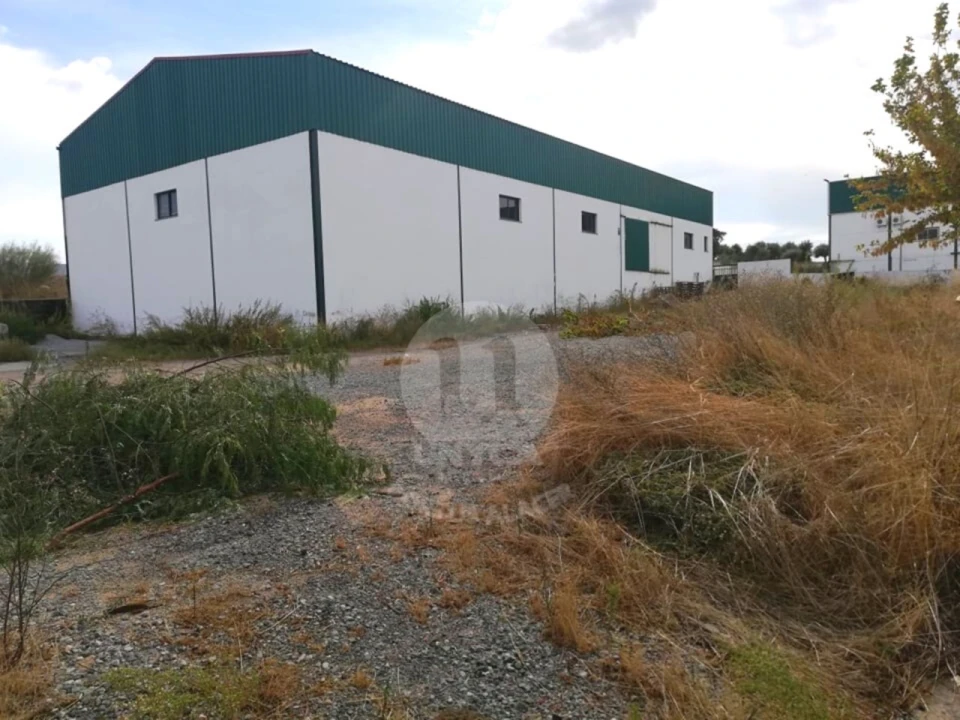 Armazém para Venda em Assunção Foto 7