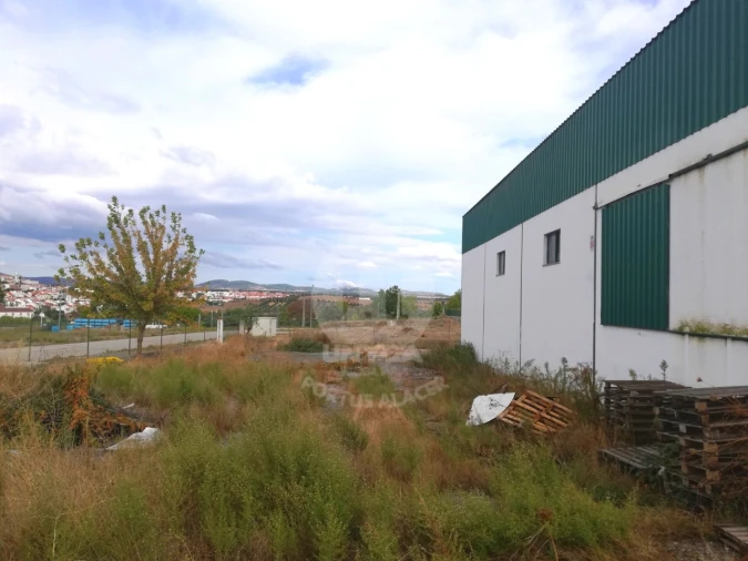 Armazém para Venda em Assunção Foto 4