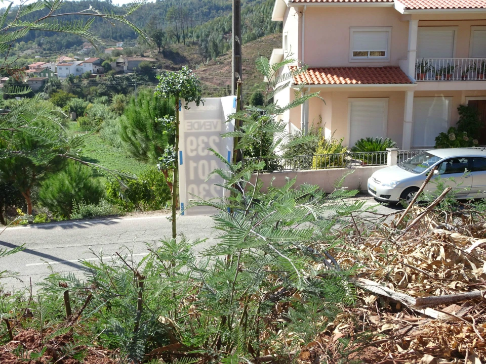 Terreno para Venda em Almalagues Foto 6