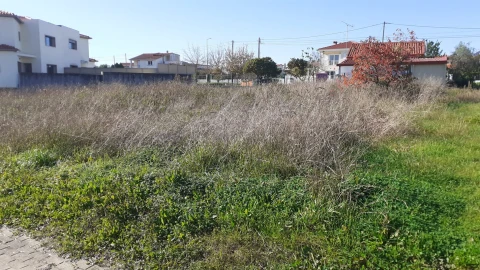 Terreno para Venda em São Martinho do Bispo e Ribeira de Frades