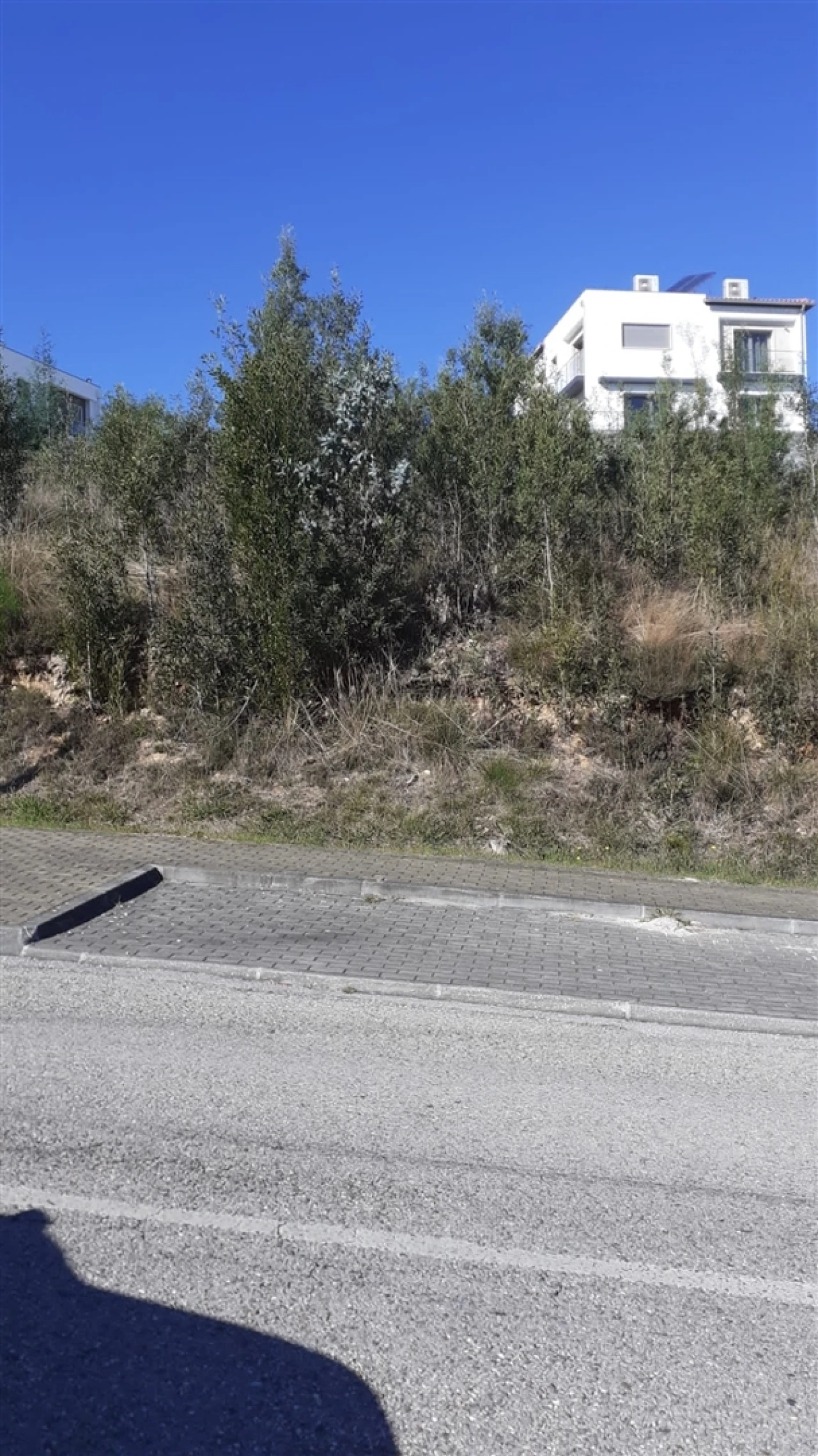 Terreno para Venda em São Martinho do Bispo e Ribeira de Frades Foto 3