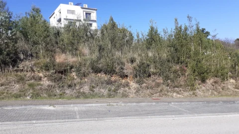 Terreno para Venda em São Martinho do Bispo e Ribeira de Frades
