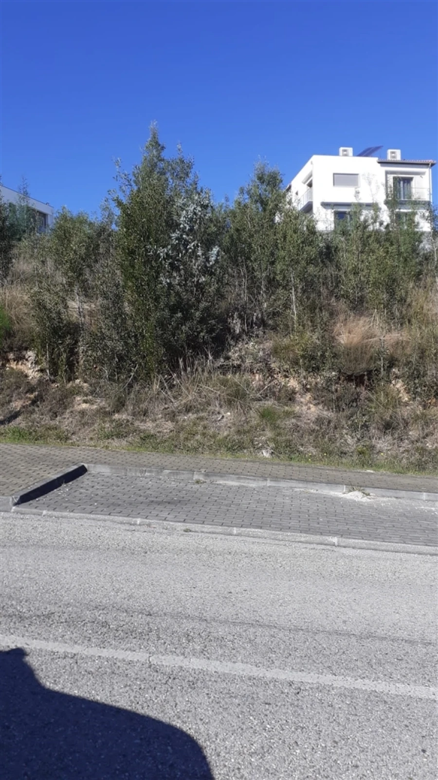 Terreno para Venda em São Martinho do Bispo e Ribeira de Frades Foto 3