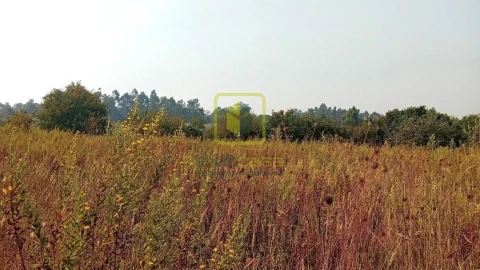 Terreno para Venda em Condeixa-A-Velha e Condeixa-A-Nova