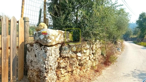 Terreno para Venda em Condeixa-A-Velha e Condeixa-A-Nova