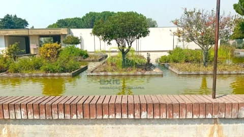Terreno para Venda em Condeixa-A-Velha e Condeixa-A-Nova