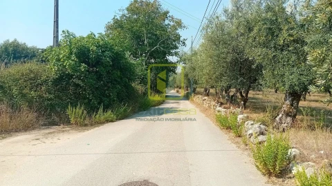 Terreno para Venda em Condeixa-A-Velha e Condeixa-A-Nova