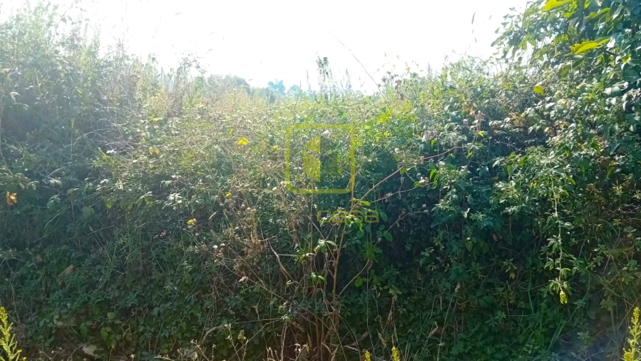 Terreno para Venda em Condeixa-A-Velha e Condeixa-A-Nova Foto 3
