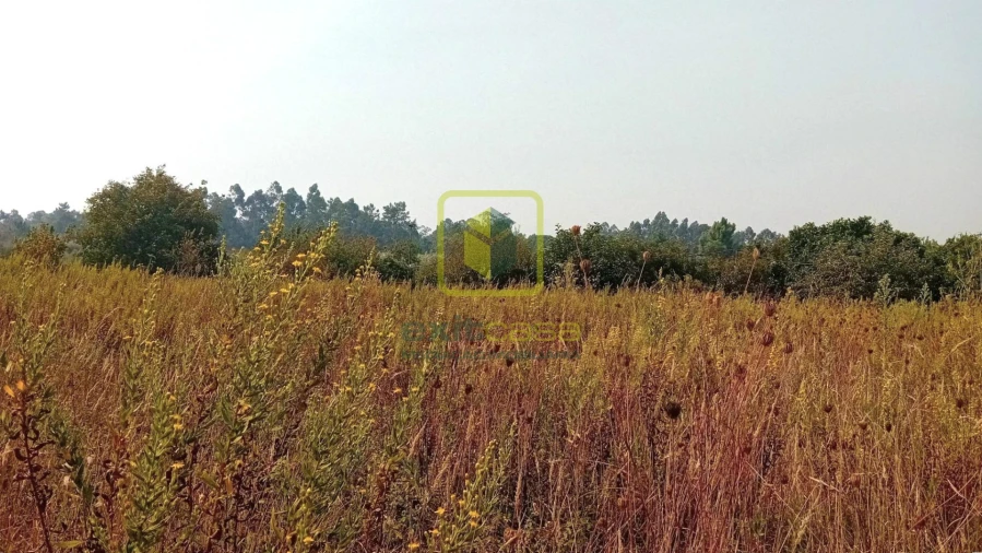 Terreno para Venda em Condeixa-A-Velha e Condeixa-A-Nova Foto 6