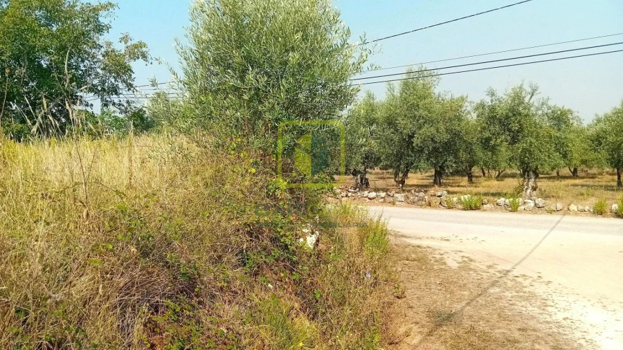 Terreno para Venda em Condeixa-A-Velha e Condeixa-A-Nova Foto 4