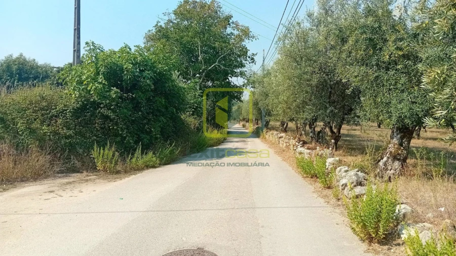Terreno para Venda em Condeixa-A-Velha e Condeixa-A-Nova Foto 2