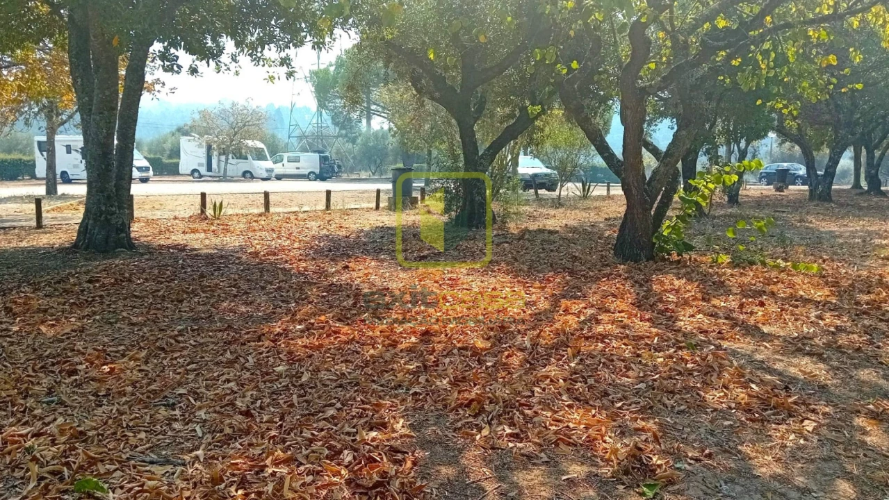 Terreno para Venda em Condeixa-A-Velha e Condeixa-A-Nova Foto 9