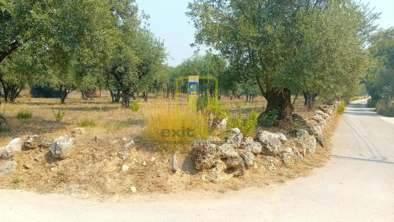 Terreno para Venda em Condeixa-A-Velha e Condeixa-A-Nova Foto 7