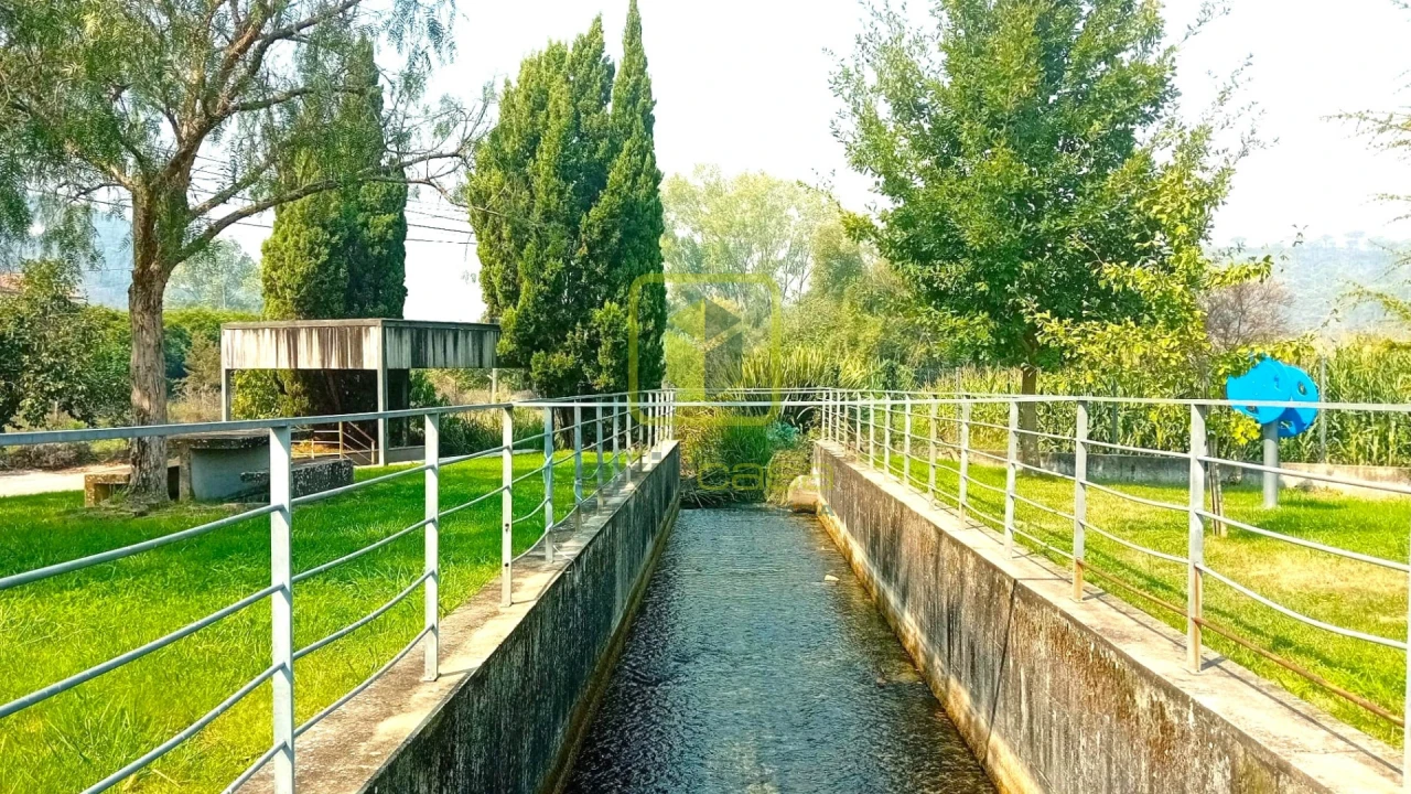 Terreno para Venda em Condeixa-A-Velha e Condeixa-A-Nova Foto 19