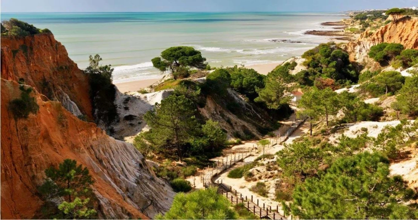 Apartamento T2 para Venda em Albufeira e Olhos de Água Foto 2