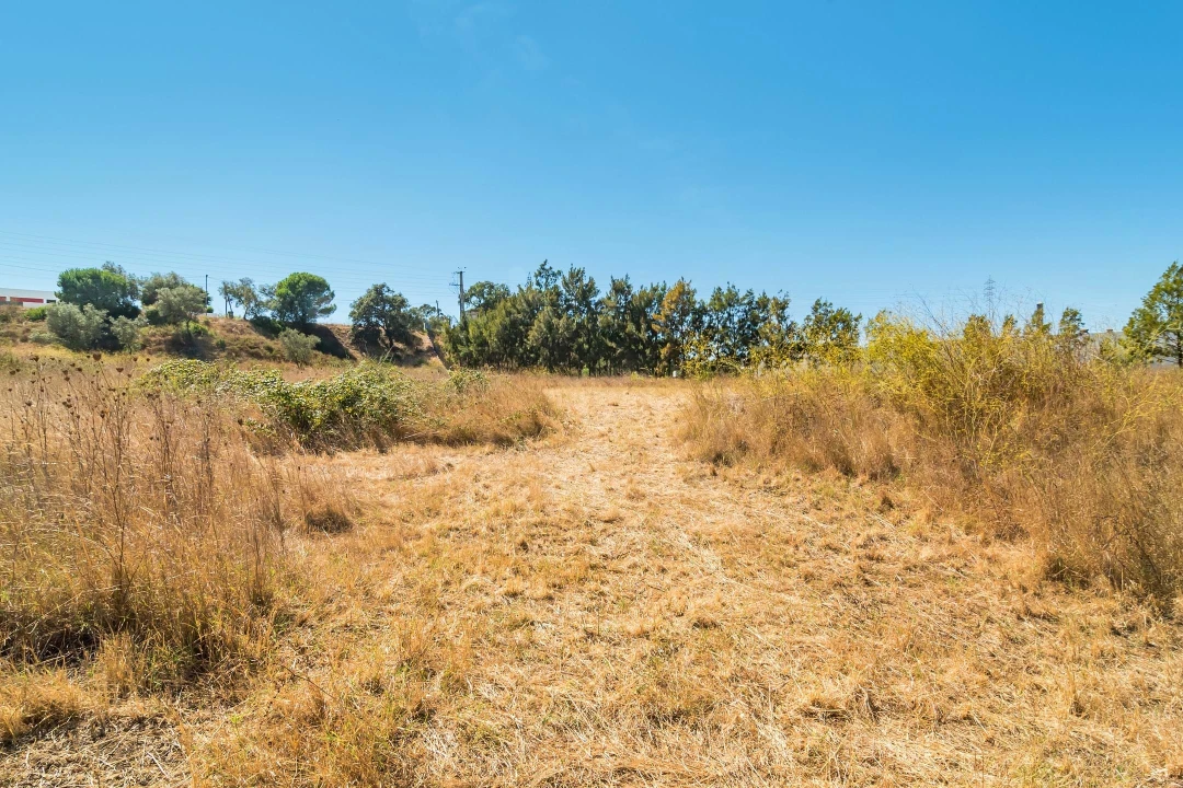 Terreno para Venda em Setubal (São Sebastião) Foto 19
