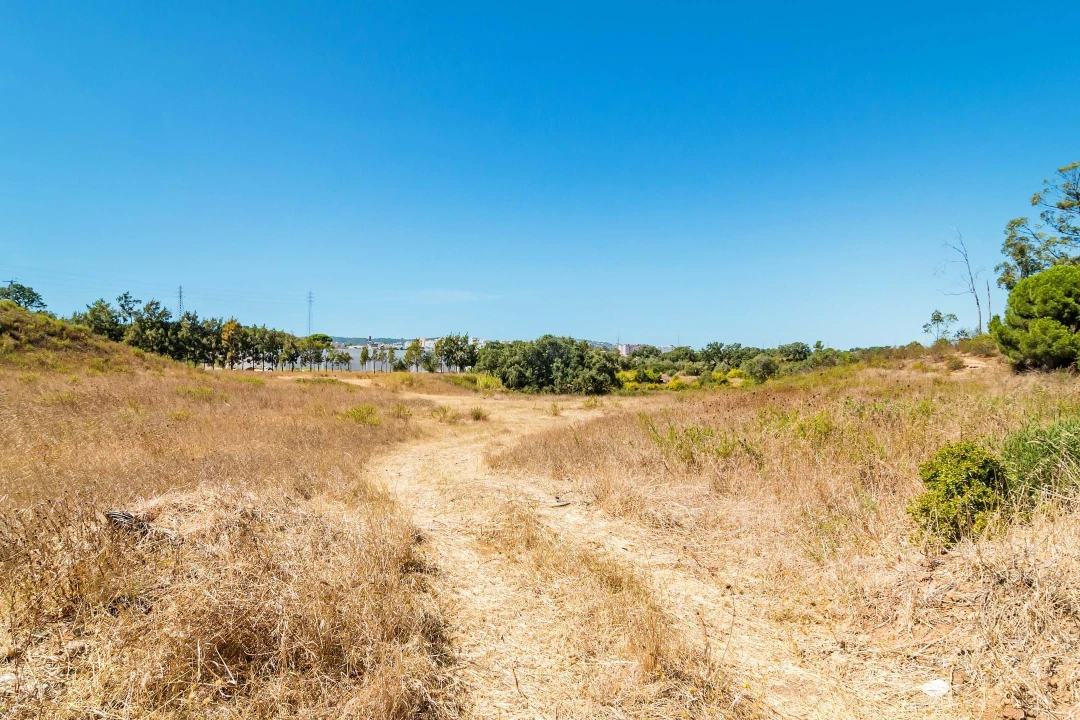 Terreno para Venda em Setubal (São Sebastião) Foto 4