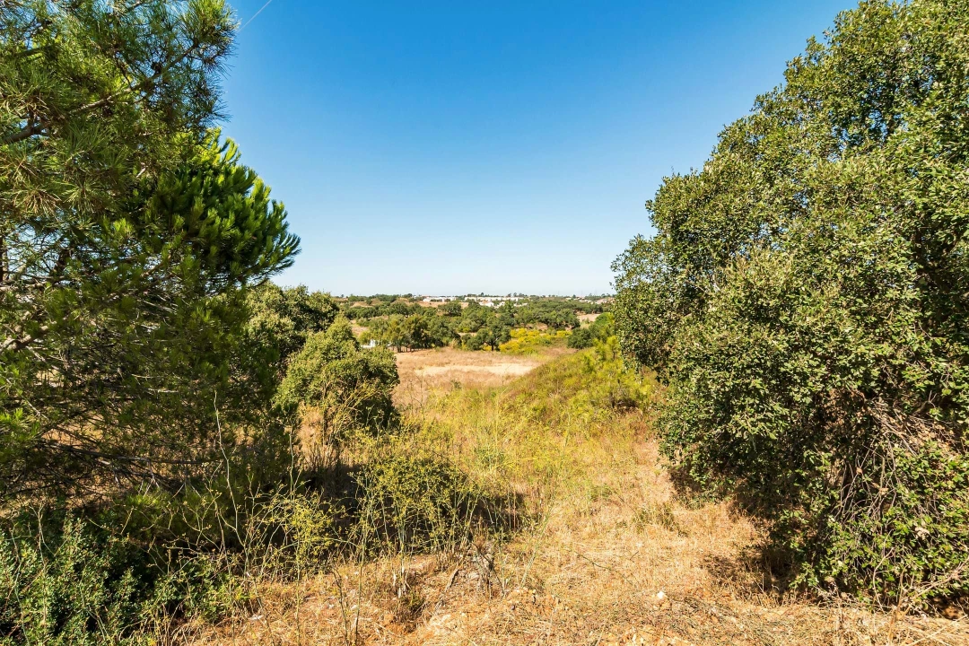 Terreno para Venda em Setubal (São Sebastião) Foto 33