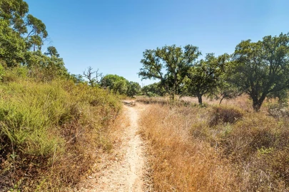 Terreno para Venda em Setubal (São Sebastião)