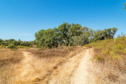 Terreno para Venda em Setubal (São Sebastião)
