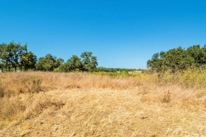 Terreno para Venda em Setubal (São Sebastião)