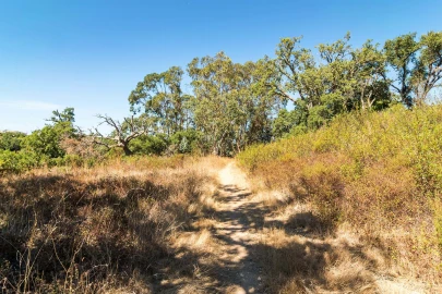 Terreno para Venda em Setubal (São Sebastião)