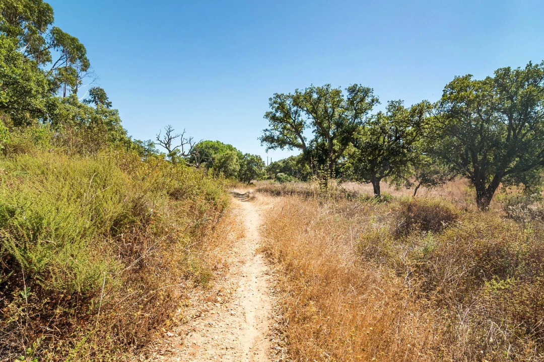 Terreno para Venda em Setubal (São Sebastião) Foto 30