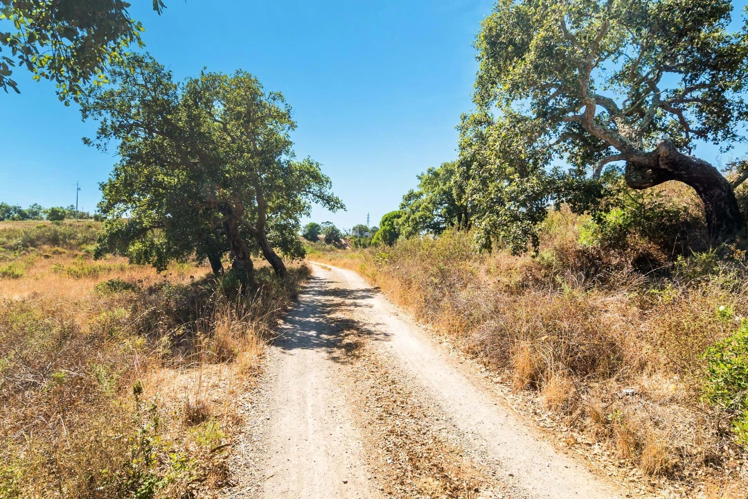 Terreno para Venda em Setubal (São Sebastião) Foto 31