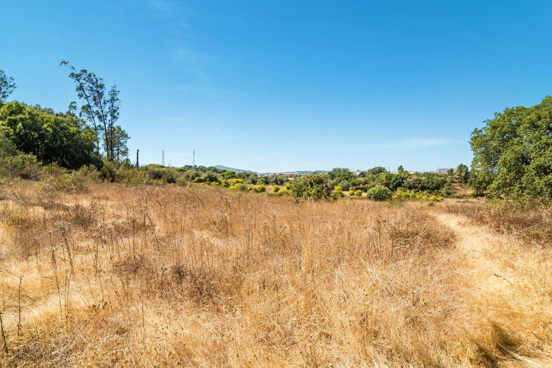 Terreno para Venda em Setubal (São Sebastião) Foto 3