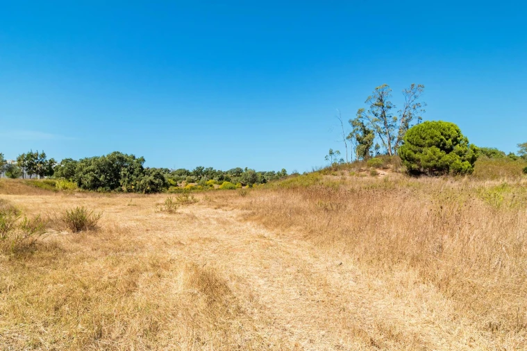 Terreno para Venda em Setubal (São Sebastião) Foto 16