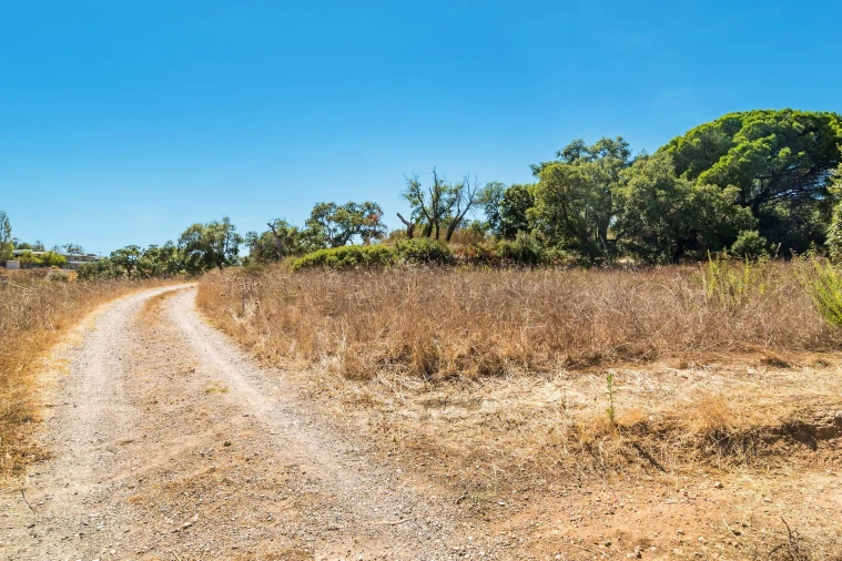 Terreno para Venda em Setubal (São Sebastião) Foto 24