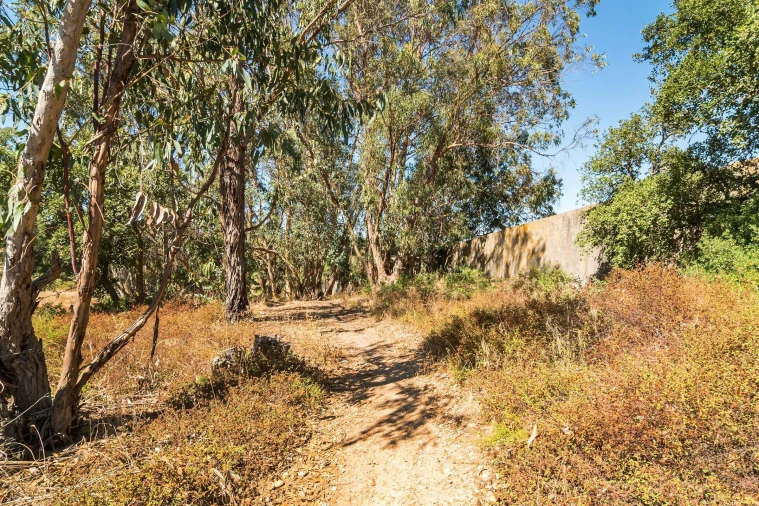 Terreno para Venda em Setubal (São Sebastião) Foto 28