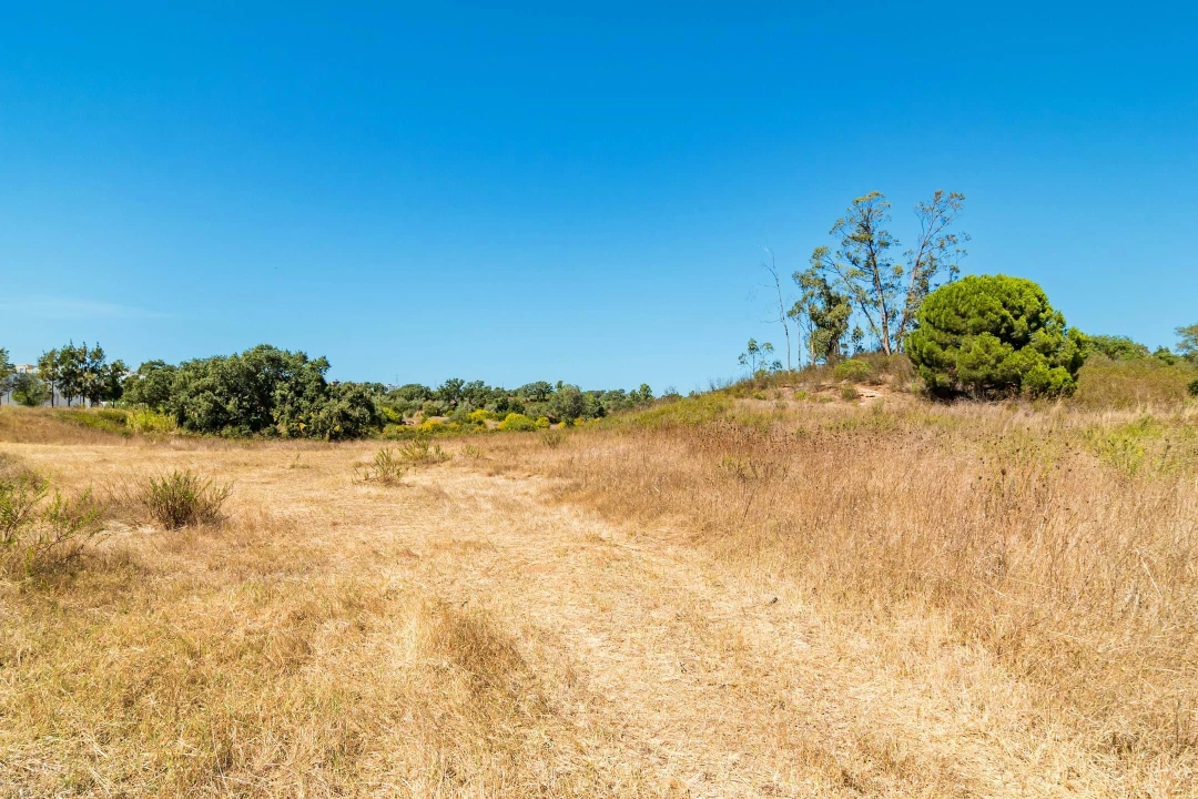 Terreno para Venda em Setubal (São Sebastião) Foto 16