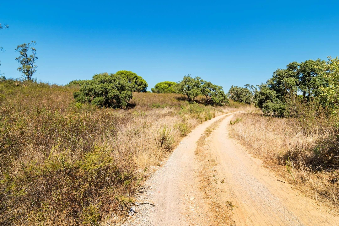 Terreno para Venda em Setubal (São Sebastião) Foto 23