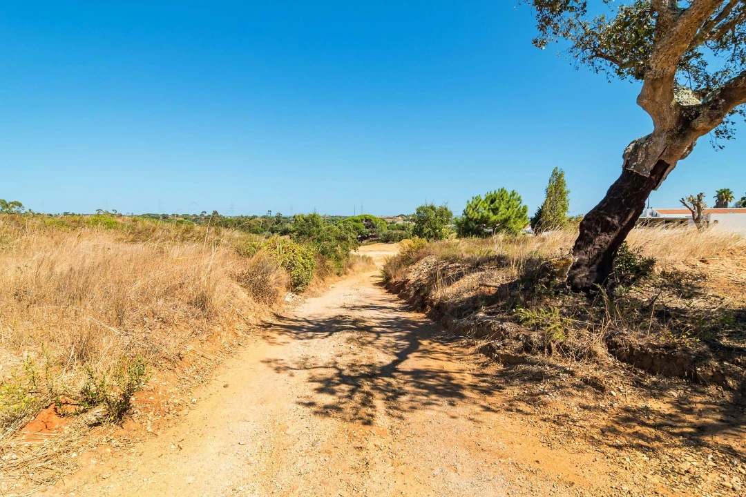 Terreno para Venda em Setubal (São Sebastião) Foto 13