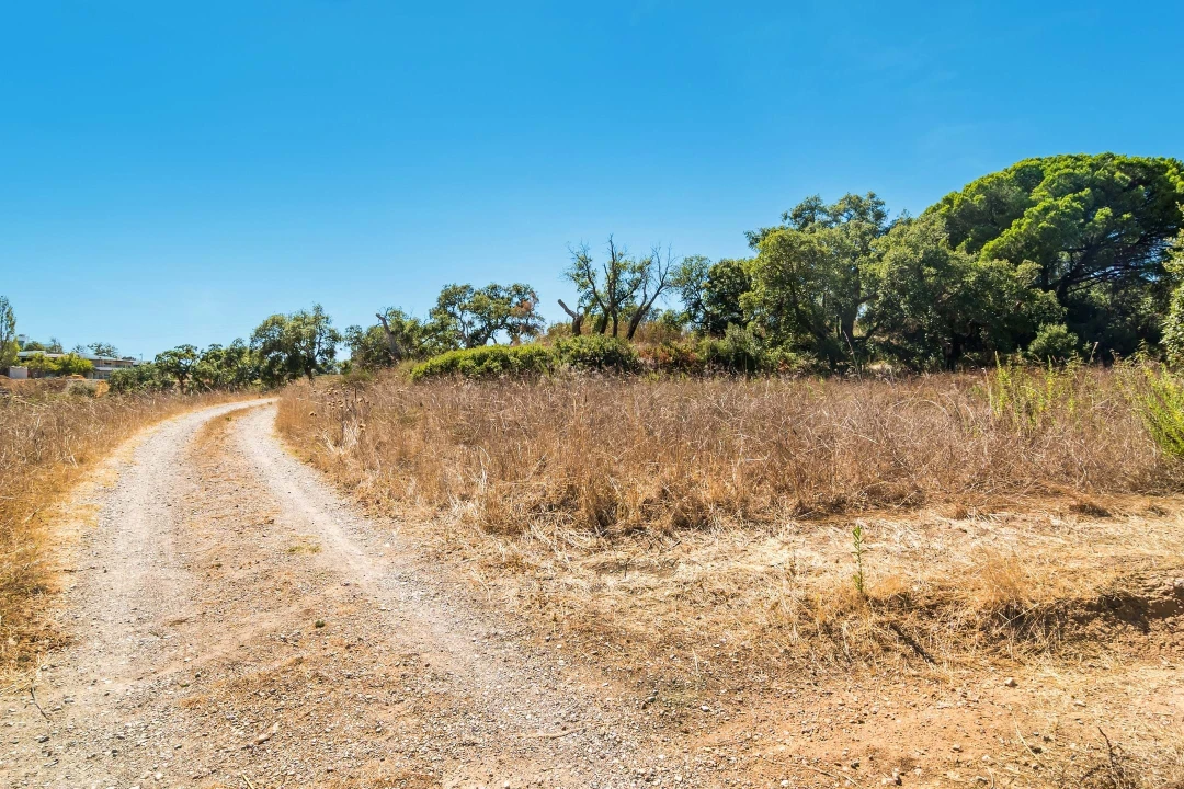 Terreno para Venda em Setubal (São Sebastião) Foto 24
