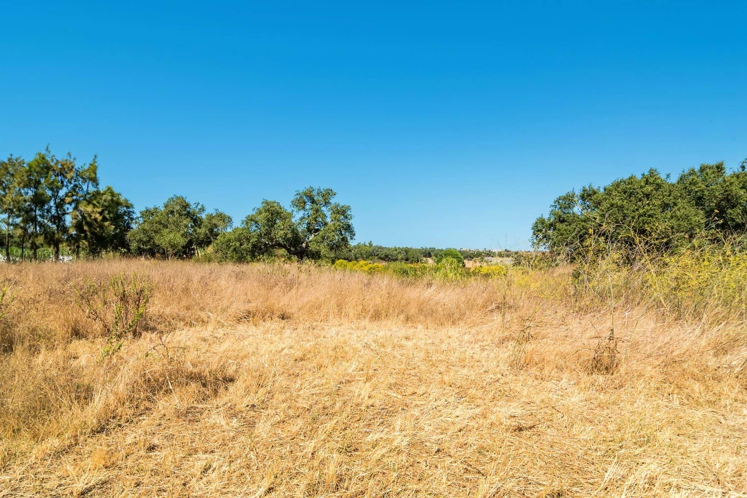 Terreno para Venda em Setubal (São Sebastião) Foto 21