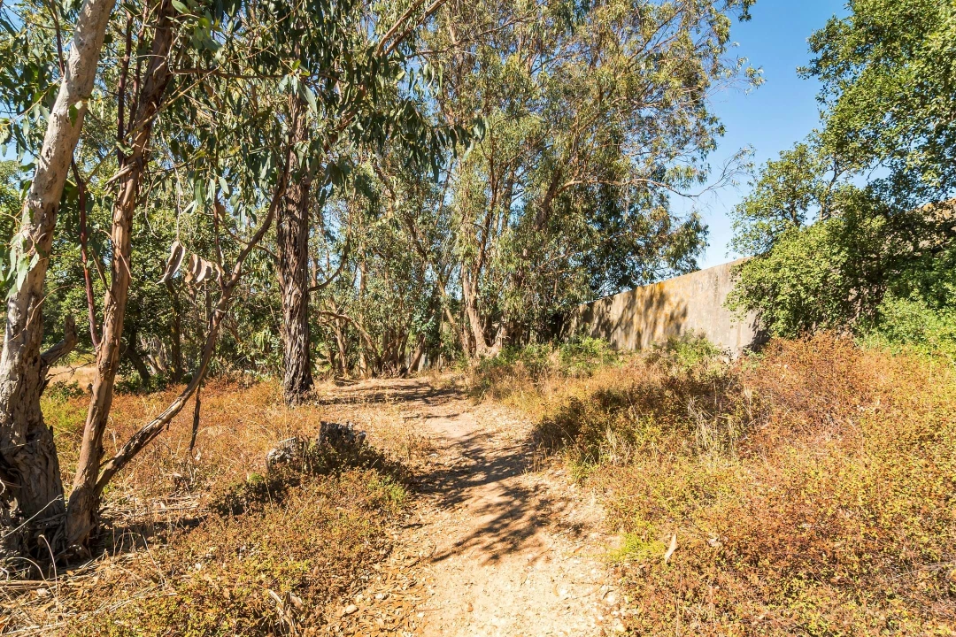 Terreno para Venda em Setubal (São Sebastião) Foto 28